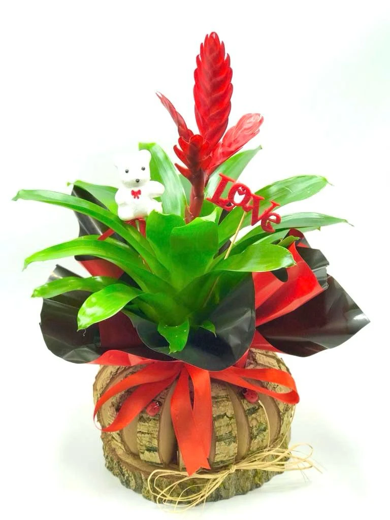 ATATÜRK ÇİÇEĞİ