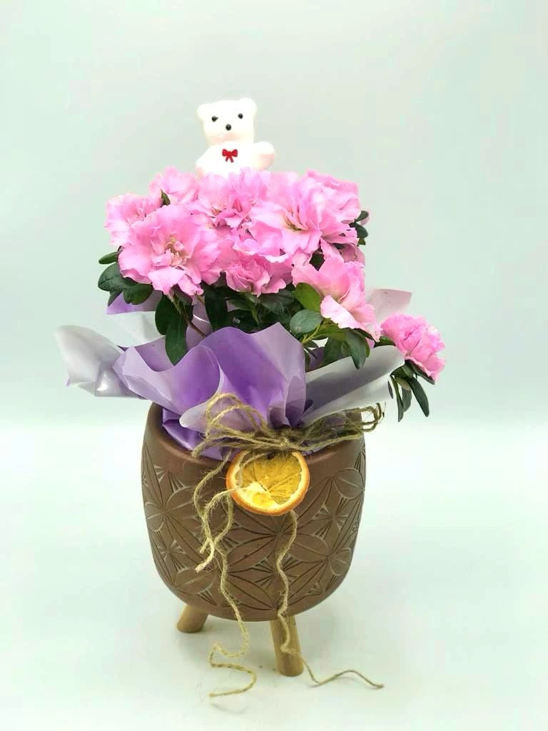 ÖĞRETMENLER GÜNÜ