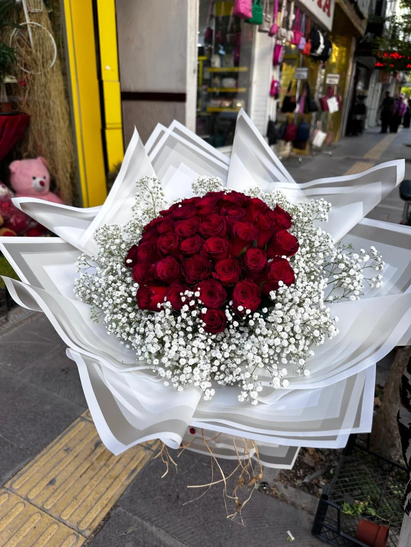 41 GÜLLÜ İSTEME ÇİÇEĞİ KIRMIZI