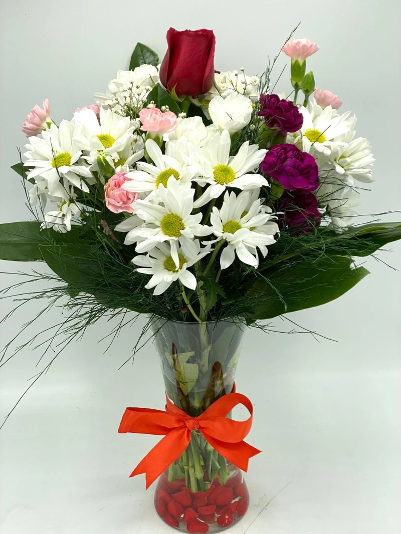 VAZODA PAPATYALAR GÜLLÜ